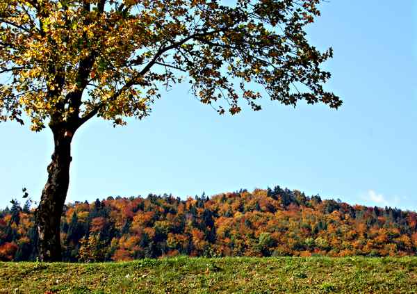  nochmal herbst