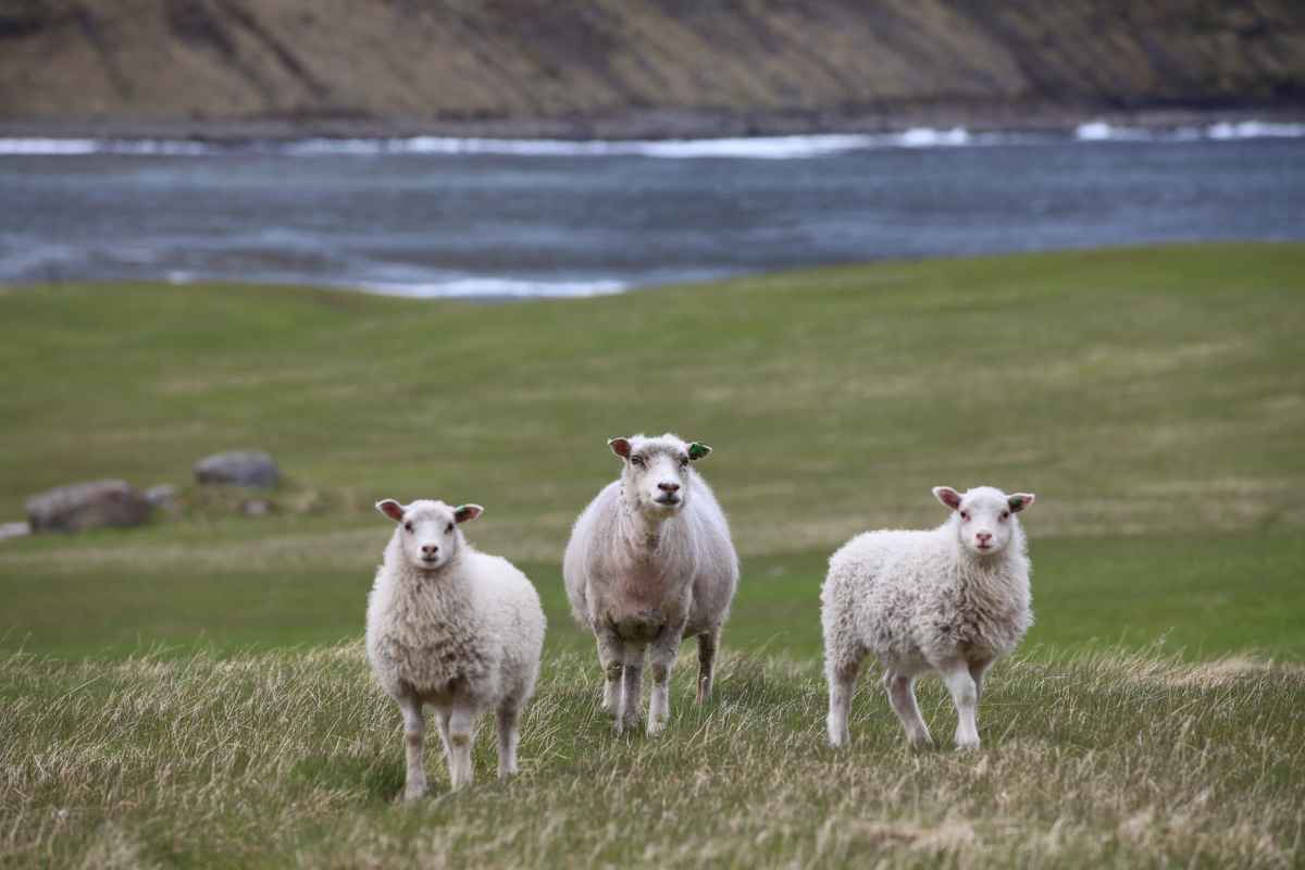 ....das ist ja spannend