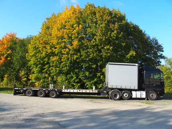 Schwertransporter
