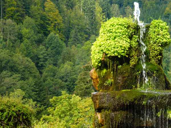 Jungbrunnen 2