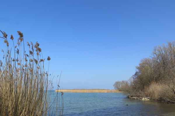 Frühling am Neuenburgersee