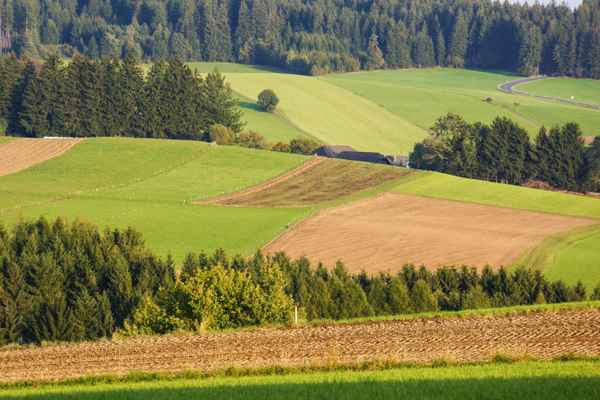 Wald und Feld - heile Welt