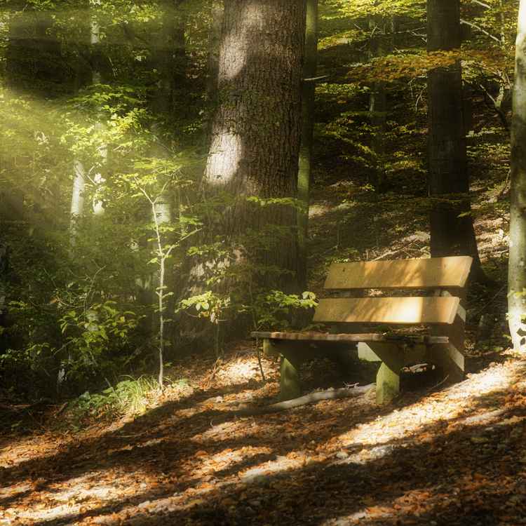 Herbststimmung
