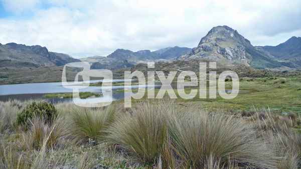 Rauhe Landschaft im Hochland der Anden