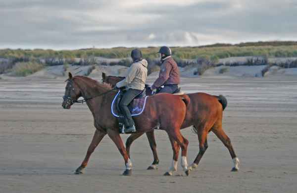 Reiter am Nordseestrand....