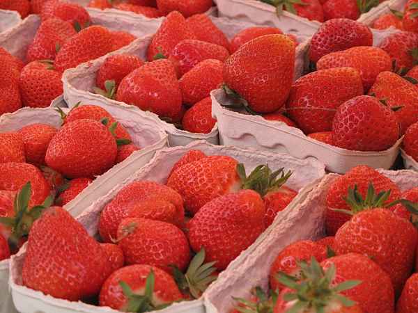 Erdbeeren