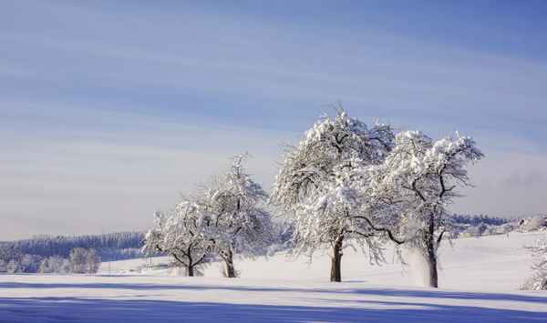 Neuchnee und blauer Himmel