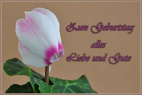 Geburtstag