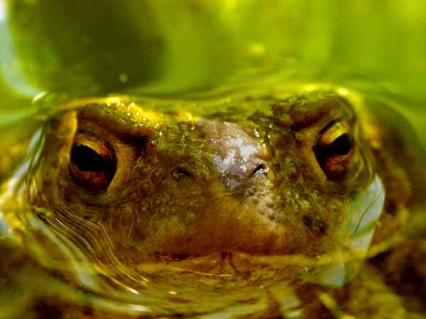 Dieser Blick bedarf keiner weiteren Worte.