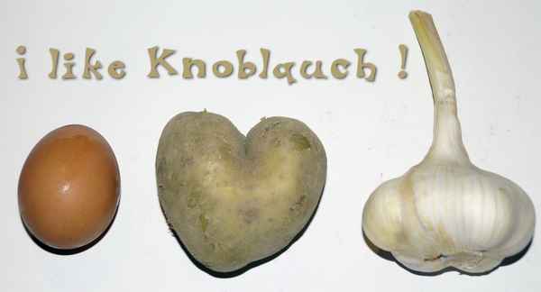 Knobi