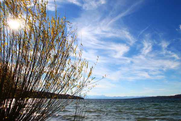 Herbst.Ufer 02