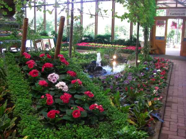 Blumenhalle Wiesmoor / 8