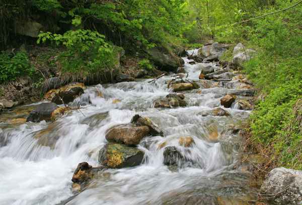 Wildbach im Frühjahr