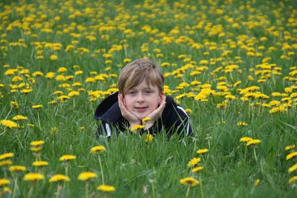 Junge in blühendem Löwenzahn