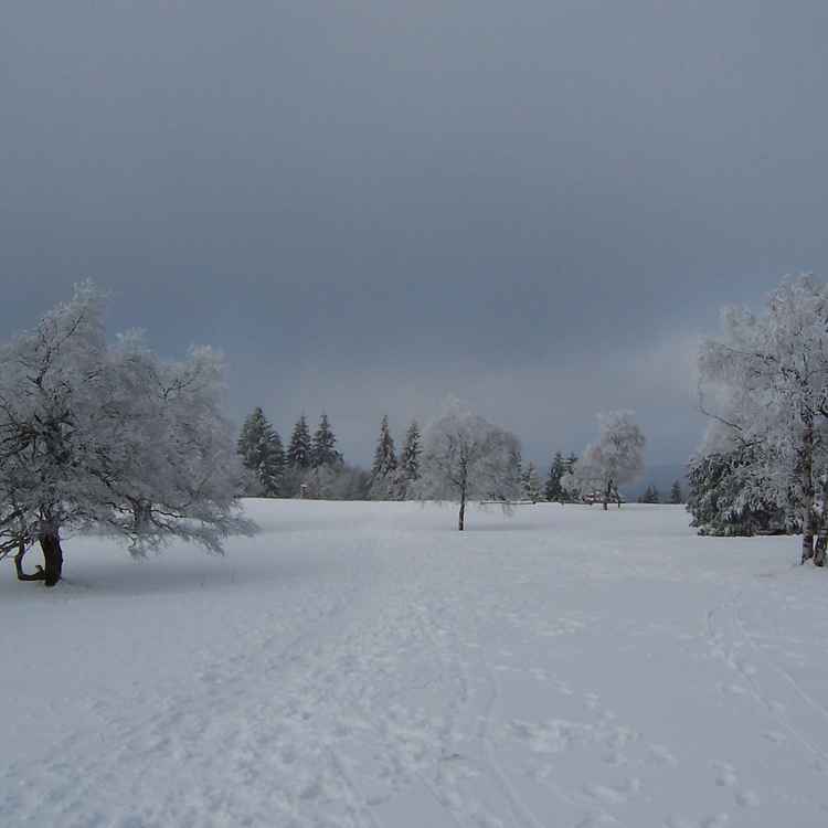 Winterberg