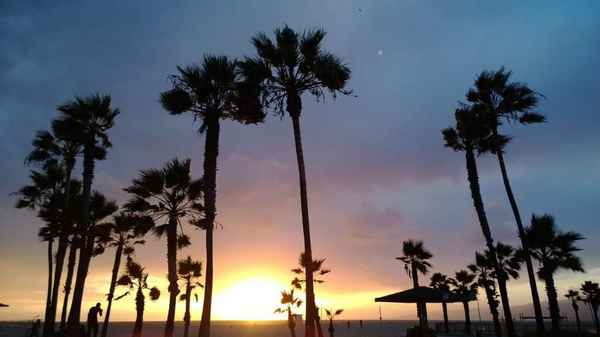 Abenstimmung Venicebeach