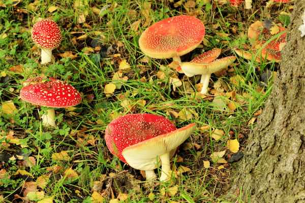 generations übergreifend