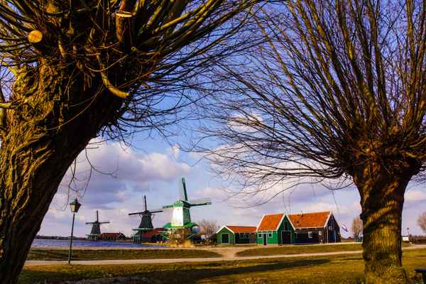 Freilichtmuseum Zaanse Schans 4