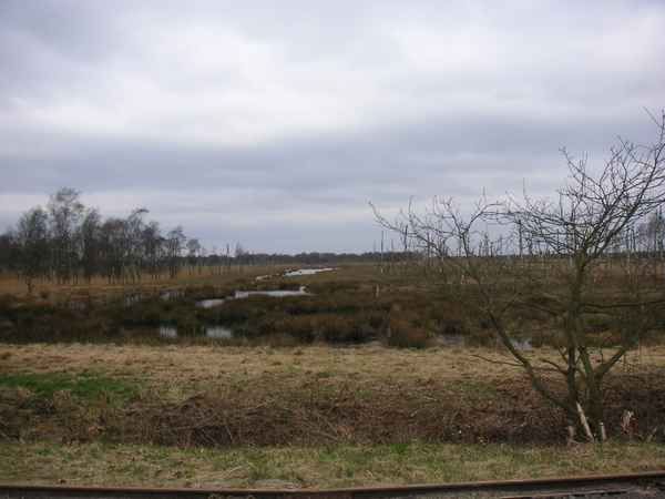 Freistätter Moor 3