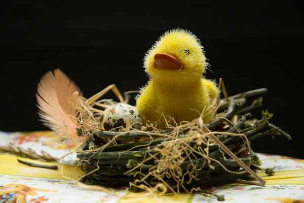 Ein frohes Osterfest