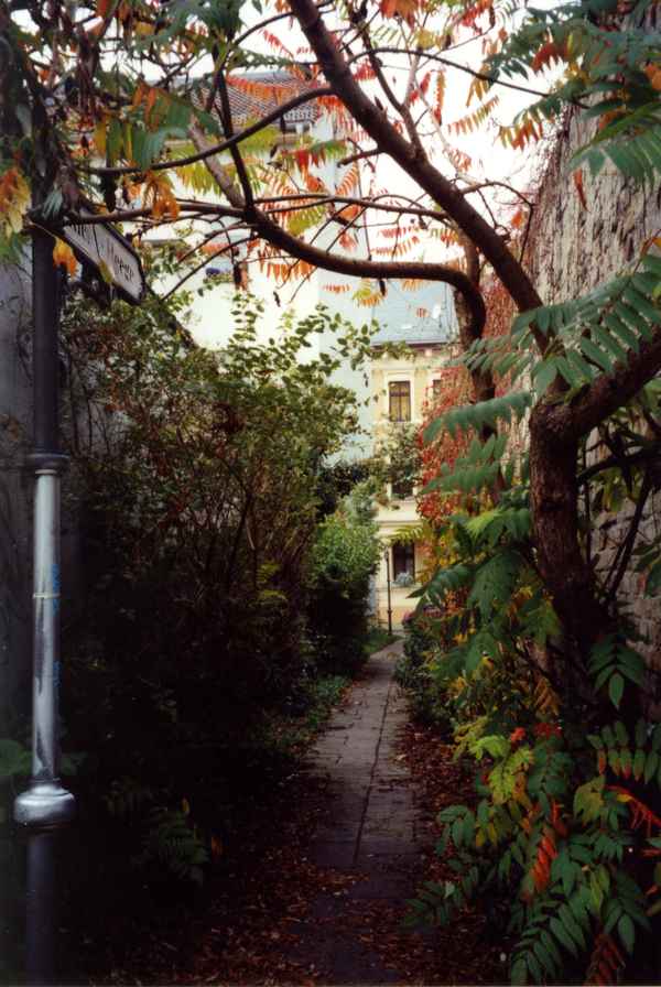 Berlin-Köpenick, Kleine Heege