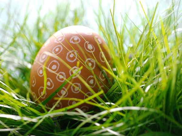 Osterei im Gras . . .