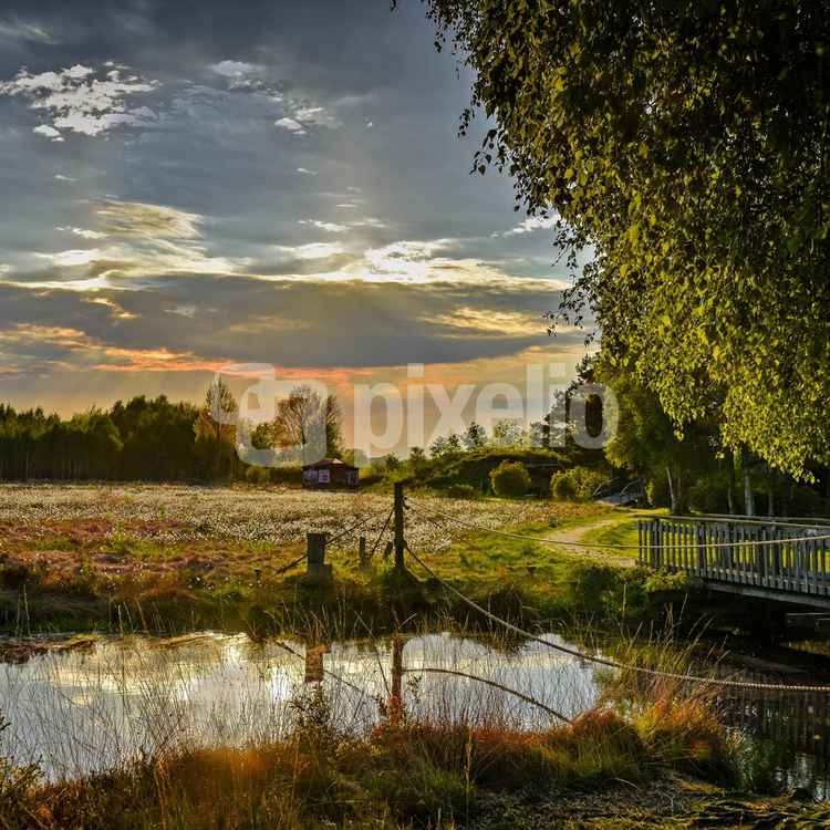 Sonnenuntergang im Moor