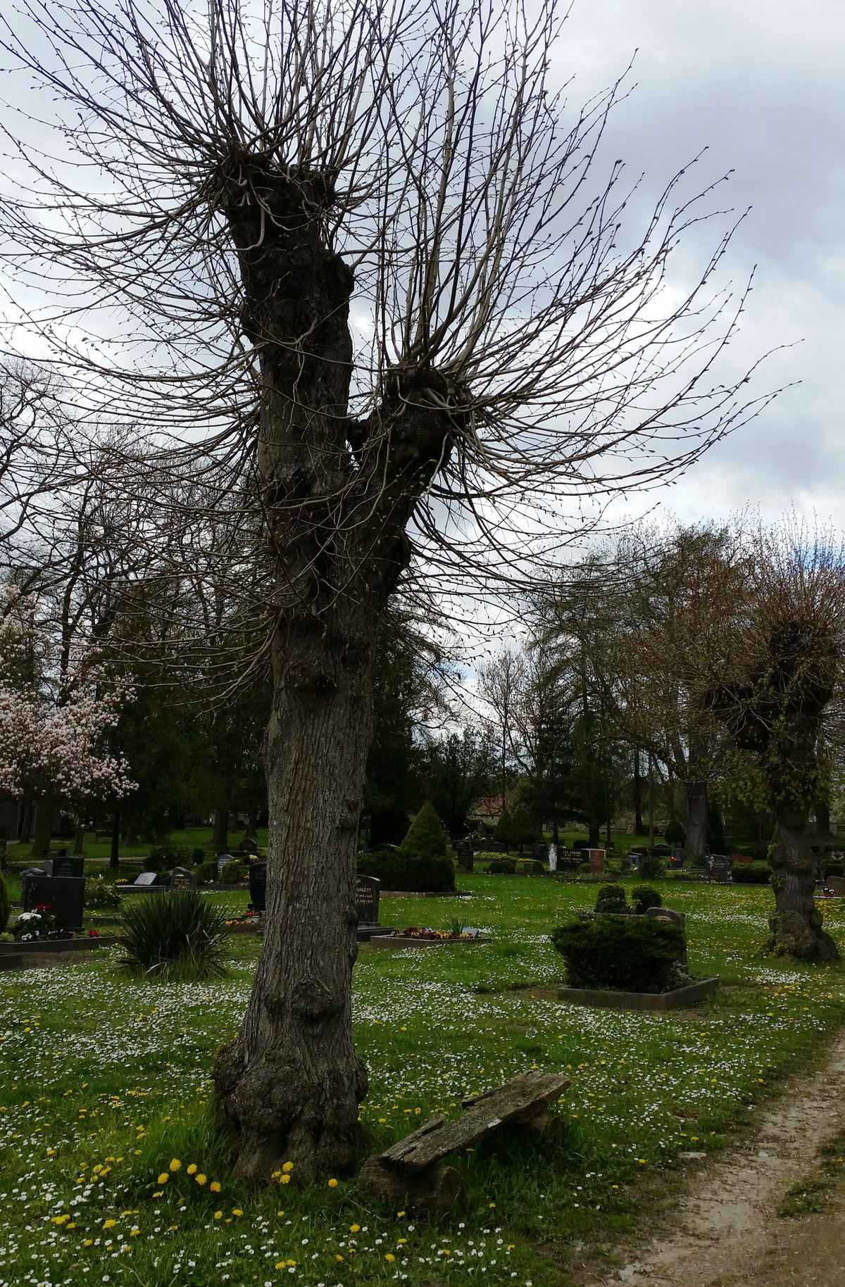 Friedhof Weferlingen
