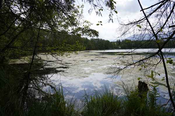 kleiner See mit Rundweg