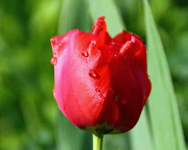 Auch die letzten Tröpfchen trocknen