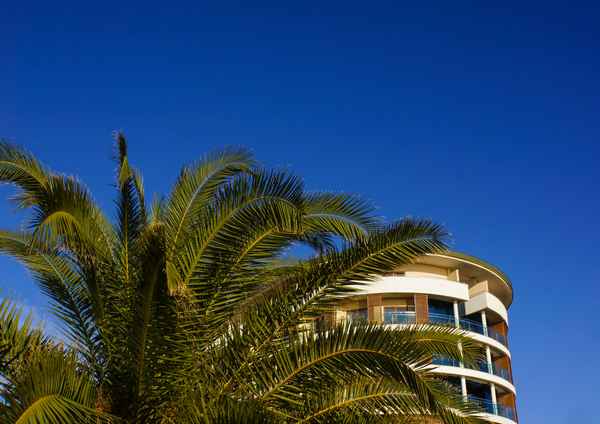 Urlaub unter Palmen