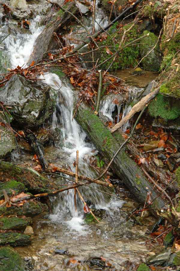 Bachlauf im Wald #2