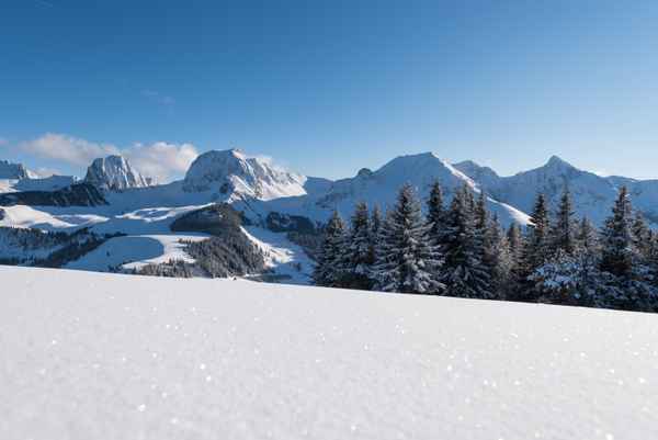 Winterlandschaft Gantrisch