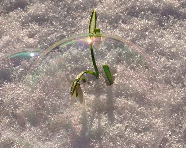 väterchen frost in der seifenbase