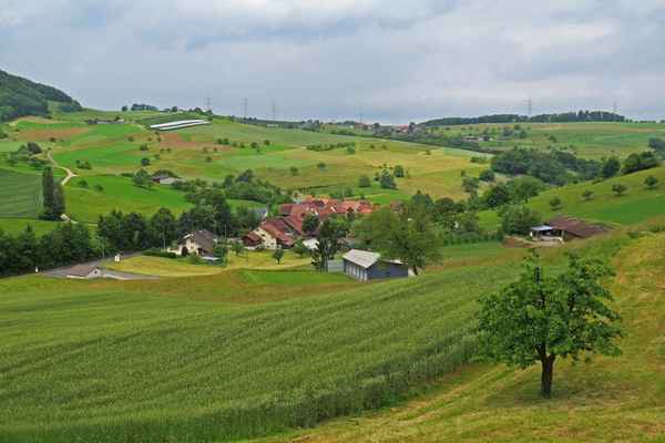 Weinbauerndorf Sulz
