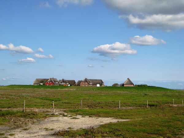 Nordfriesische Halligwelt 1