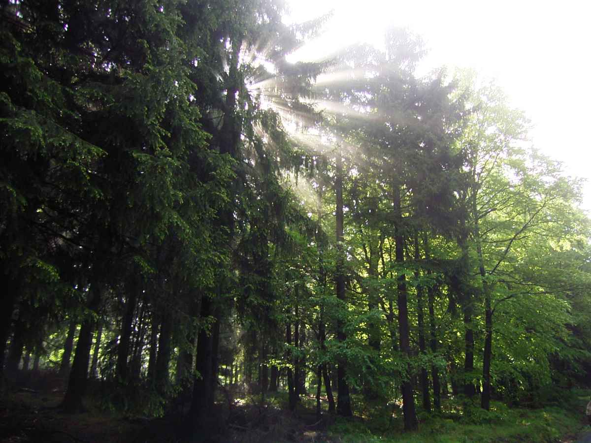 die Sonne blinzelt