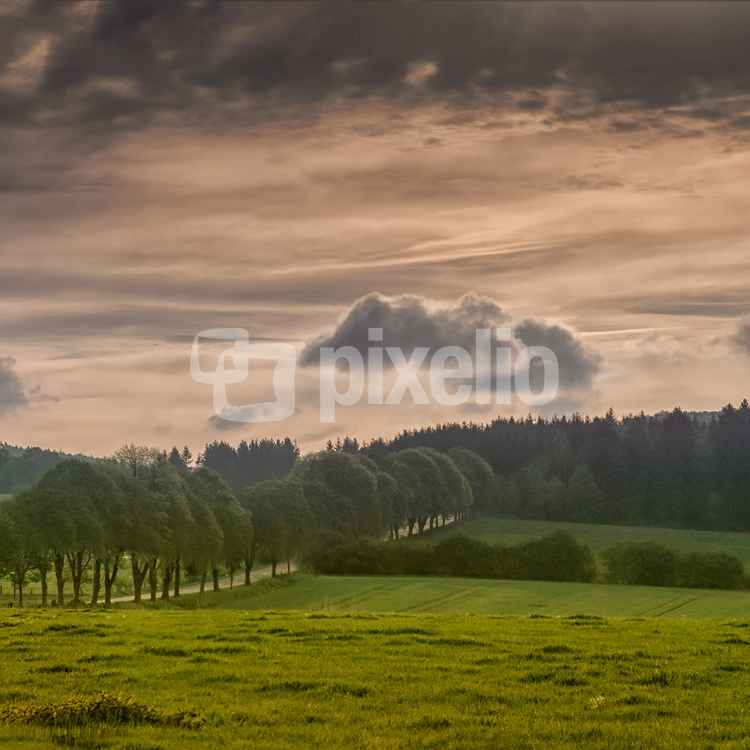 Ein beschauliches Idyll