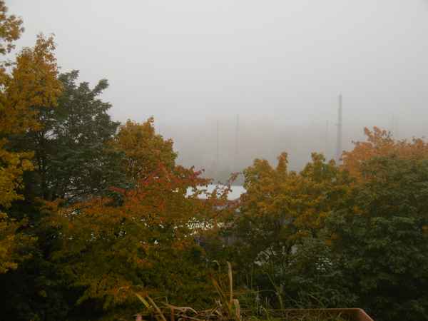 Nebel über der Stadt