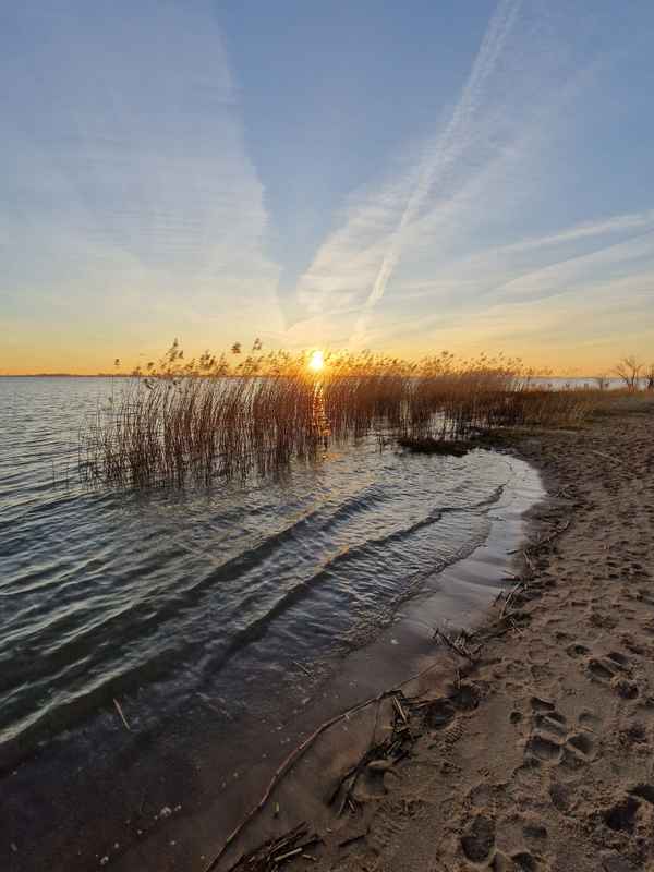 Abends an der Elbe
