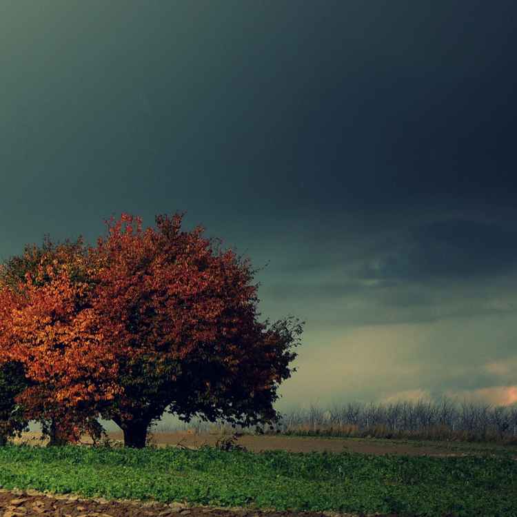 Herbstpalette