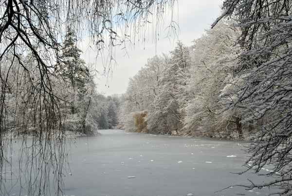 Weiher im Winter