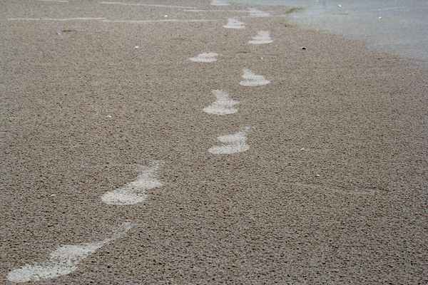 Spuren im Sand