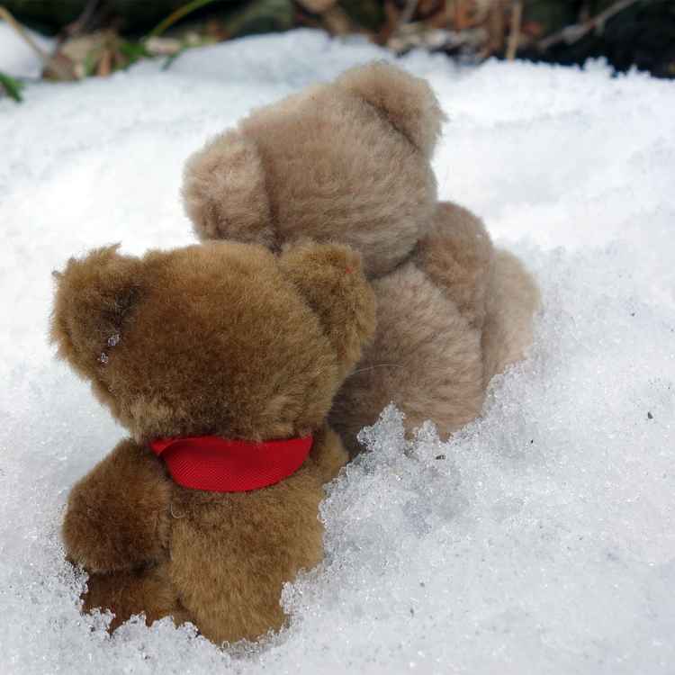 Kuscheln im Winter ;-))