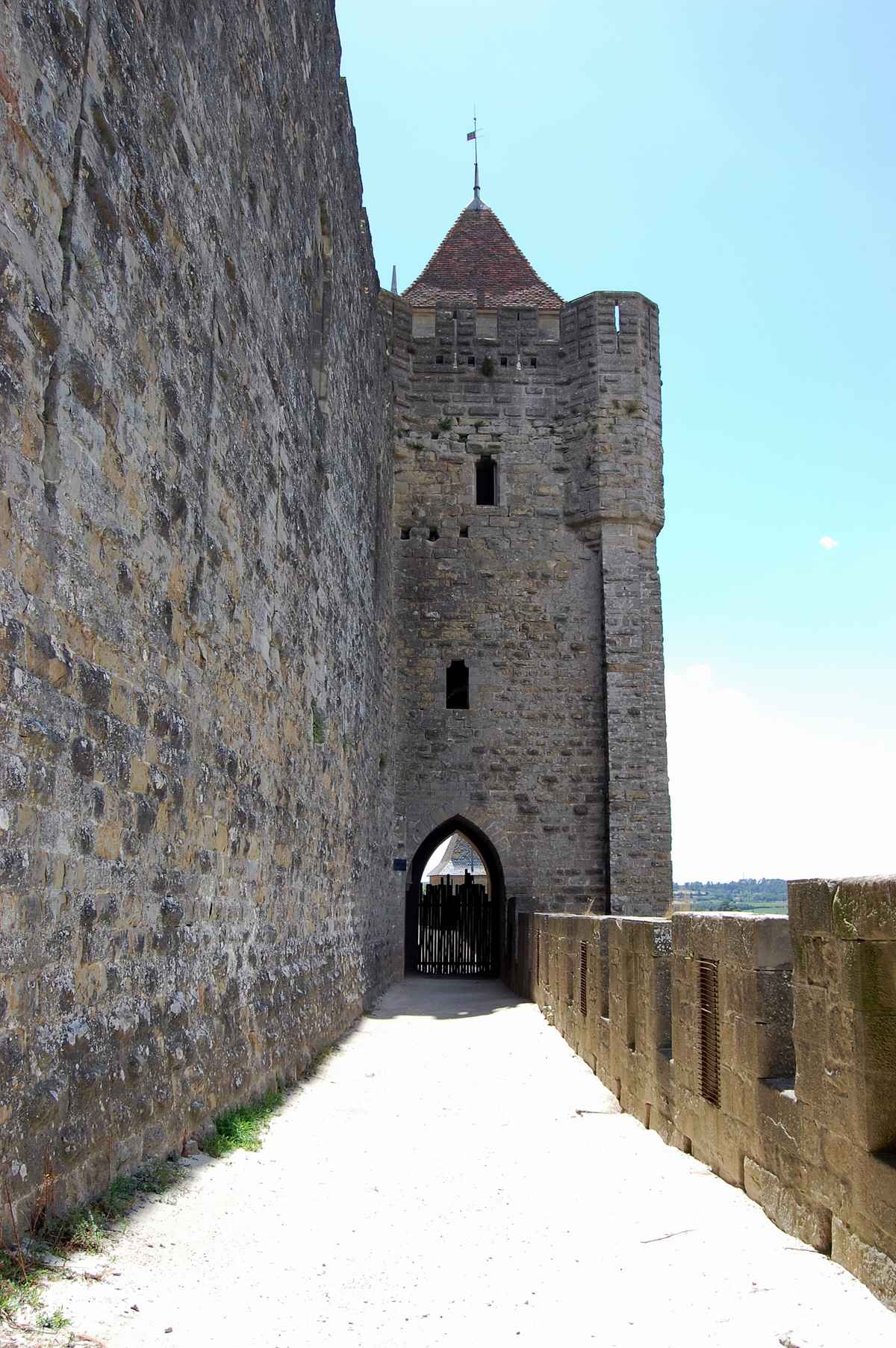 Carcassonne 20