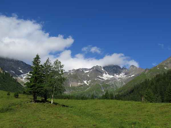 Sommer im Calfeisental