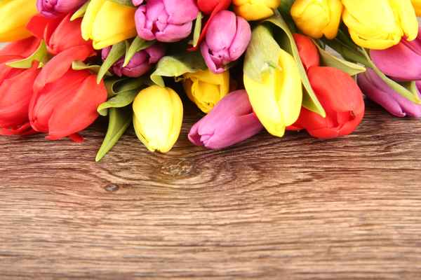 Tulpen auf Holz