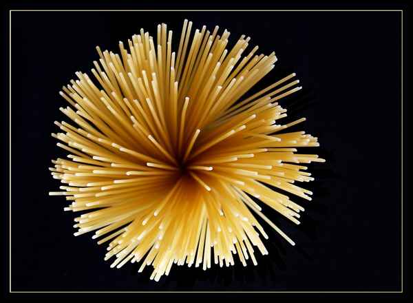 Blume, Feuerwerk oder doch Spaghetti?