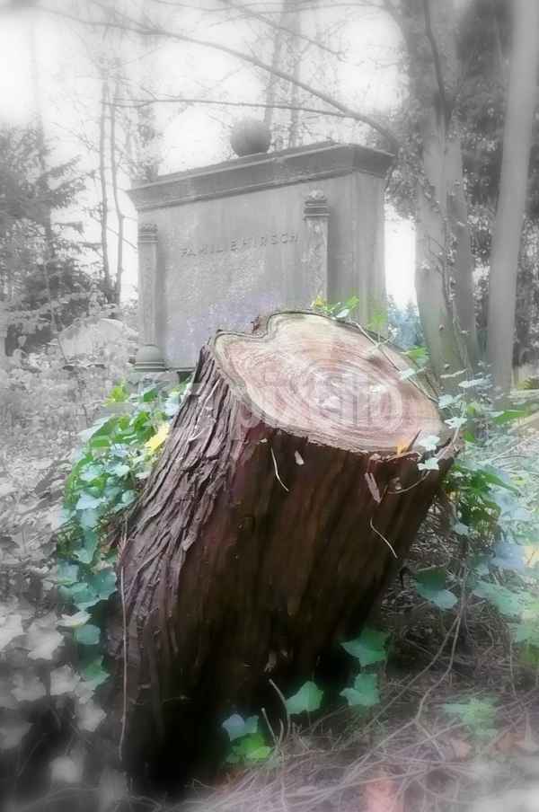Friedhof 2