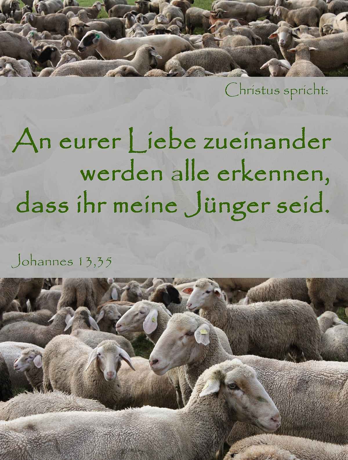 An eurer Liebe zueinander